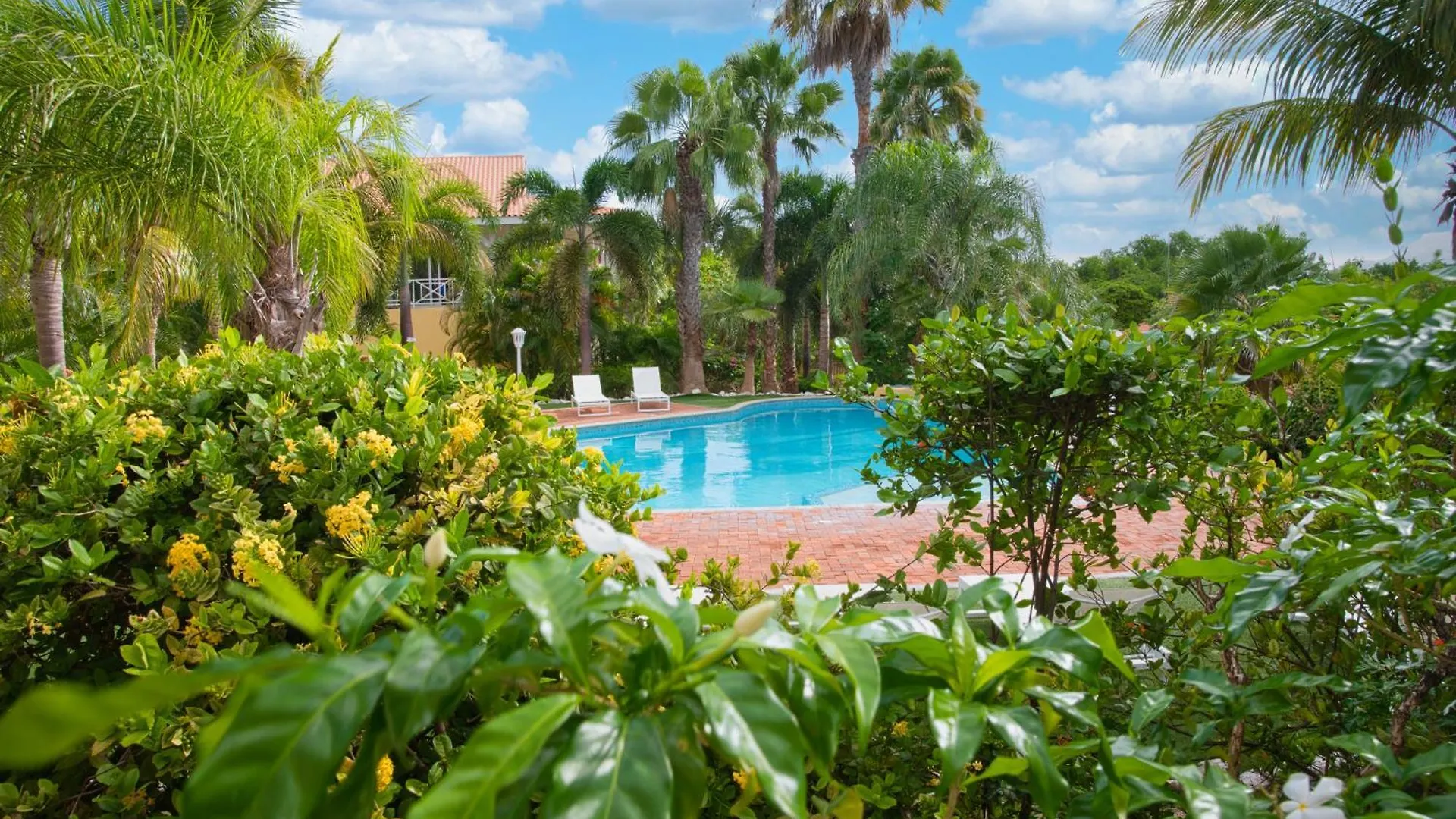 Apartament Luz Abondante Jan Thiel 0*,  Curaçao